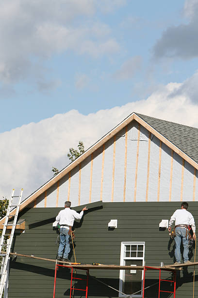 Best Siding Replacement  in Shelbyvle, IL